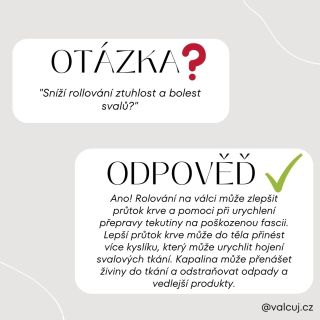 Neznám bolest! 💪 #valcuj #question #answer #knowledge #learning #fitness #foamroller #gym #sport #recovery